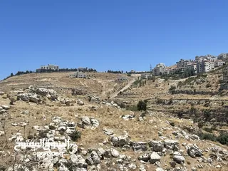  8 تملك ارض في بدر الجديده و وتبعد عن اشاره النسر 5 دقايق وقريبه من المدارس الامريكيه