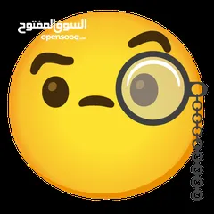  2 أرانب البيع عدد 10 كل شغال