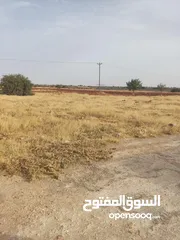  1 مزرعه هكتار في طريق17 سعر فرصه135 الف
