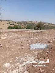  26 مزرعه للبيع في جرش سوف منطقه الظهره الشماليه
