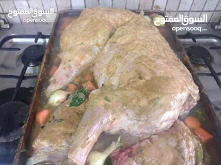  15 شيف طباخ شرقي وغربي وسلطات ابحث عن عمل خبره في الاكل العربي والسلطات خبره في الفندق وشركه