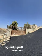  3 بيت مستقل من البزرة