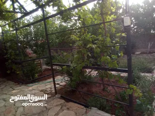  8 فيلا  للبيع  بعين الباشا