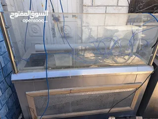  5 عده مطعم شعبي للبيع