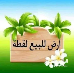  1 ارض للبيع في منشية بني حسن قوشان مستقل  المساحه 4120 م