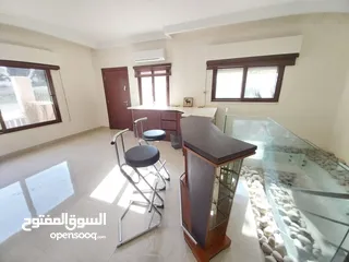  27 شقة مفروشة للإيجار 240م2 ( Property 10988 )