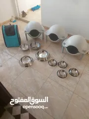  5 أغراض قطط للبيع في حالة الوكالة