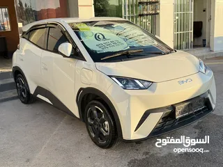  4 BYD سيجال 2024