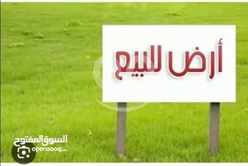  3 فرصة ذهبية لامتلاك قطعة أرض مميزة في نابلس الموقع: تل – عين المزراب – منطقة فلل راقية