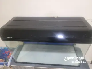  2 حوض سمك اجنبي