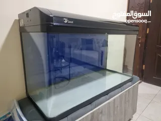  1 حوض سمك اجنبي