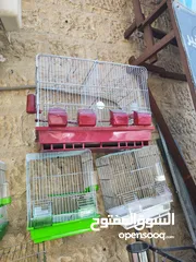  1 قفص 4 معالف مع حاجز