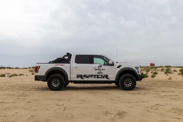  4 Raptor Baja Shelby 1-250 made