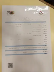  11 محل مستلزمات تدخين وقهوه