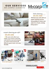  9 sofa cleaning and carpet cleaning