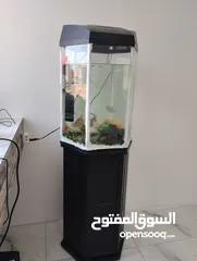 2 Aquarium  with 5 fish and accessories for sale