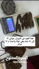  3 عرض عود التايجر الفيتنامي الفاخر ( انظر الوصف والصور )