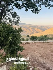  10 أرض مميزه _الصبيحي _ بيوضه الشماليه