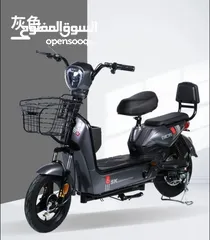  12 elictric scooter