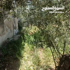  8 بيت طابقين  في ناطفه اقراء الوصف لتفاصيل اكثر كلشي مكتوب بالوصف