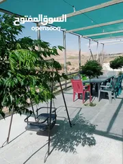  14 شاليه متنزه  استراحة قهوة