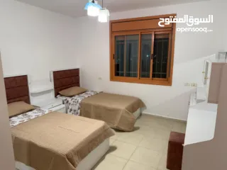  23 شقة مفروشة / الماصيون