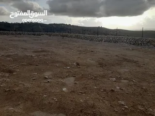  6 1800م ارض في خرسة دورا الخليل