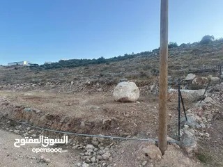  3 أرض للبيع طول كرم كفر صور بسعر لقطه