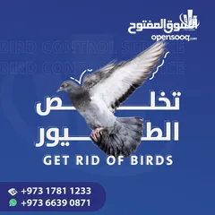  10 IPC Is Providing 24/7 Pest Control Service in Bahrain - Contact Now!