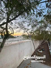  28 بيت مؤجر لوزارة التربية والتعليم