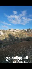  1 أرض للبيع، من المالك
