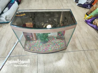  5 حوض سمك مجهز بالكامل الطول 40 سم العمق 20 سم ارتفاع 31 سم