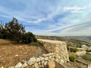  18 أرض مميزة في منطقة النعير 3000 متر