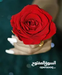  8 كاميرات تصوير حفلات