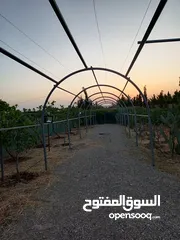  6 ارض للبيع في الجنوب