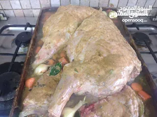  6 شيف طباخ شرقي وغربي وسلطات وعمل بوفيه والاكارت ابحث عن عمل