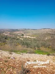  1 ارض للبيع طابو