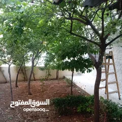  29 خلدا ـ شقه ارضيه فارغه للايجار ـ 200 متر داخلي  200 متر خارجي + حديقه مشجره - كراج خاص