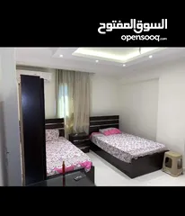  1 امام جنينه مول عباس العقاد شقه مفروش فندقي