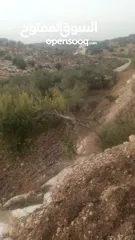  3 ارض على طريق بلعا دير الغصون قبل مفرق اكتابا