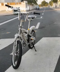  2 Cobra Bicycle