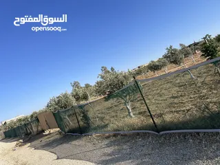  1 ارض زراعيه مجهزه بل كامل تبعد عن شارع المطار 6 كيلو تبعد عن وسط مادبا4ك
