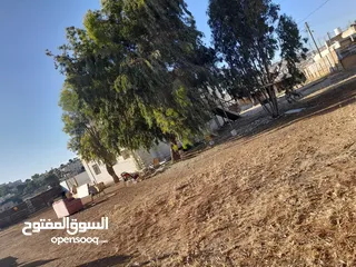 6 بيع منزل السيد سامي دبيس