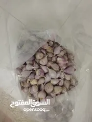  1 ثوم عماني الذكر الأصلي انتاج هذي السنه الكميه كيلو ونص