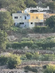  22 مزرعه للبيع / عجلون / رأس منيف