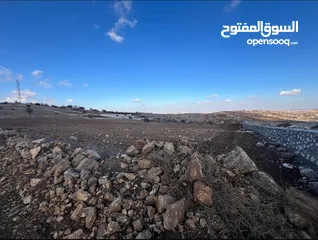  3 قطعة ارض زراعية مرتفعة خلف جامعة عجلون الوطنية ، بافضل اطلاله في عجلون - من المالك وبسعر مغري