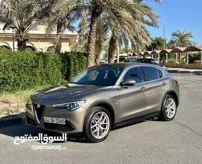  1 Stelvio 2018 118km only perfect conditions fully loaded regular agency service