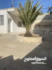  9 بيت مع الارض جاهز للسكن طابو B سعر مناسب من مالك مباشر  بين أبو نجيم واد  رحال موقع هادي السكن