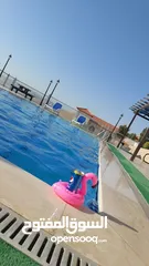  17 شاليه وفيلا رحمه .... للايجار