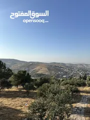  4 قطعة ارض للبيع ( الإطلالة الأجمل في منطقة بيرين)  واصل جميع الخدمات ( على قمة ام رمانة )